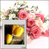 Majestic Moments - Click here to View more details about this Product